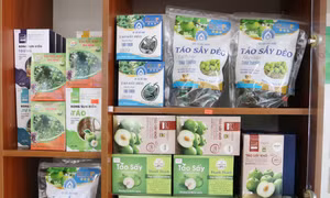 Tăng hiệu quả kinh tế cho sản phẩm táo Ninh Thuận