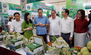Khách tham quan gian hàng na Lạng Sơn. Ảnh: bnews.vn