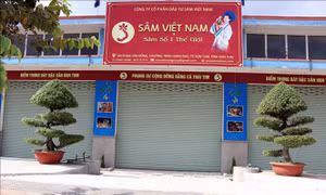 Trụ sở Công ty cổ phần đầu tư Sâm Việt Nam không mở cửa vào sáng 21/12. Ảnh: Cao Nguyên-TTXVN