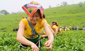 Tạo cơ hội mới để vùng đồng bào dân tộc thiểu số phát huy nội lực, phát triển bền vững