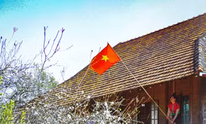 Hoa mận bung nở bên những nếp nhà sàn của người dân tộc Thái. Ảnh: Xuân Tư – TTXVN