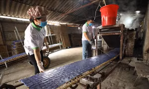 Sở hữu trí tuệ góp phần đưa nông sản Việt đến thị trường thế giới (Bài 3)