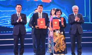 Bộ sách dành cho dạy và học tiếng Việt ở nước ngoài được vinh danh 