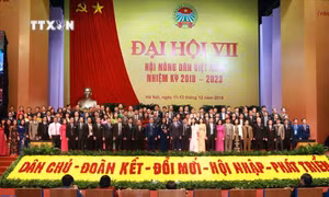 Nghị quyết của Bộ Chính trị về đổi mới, nâng cao chất lượng hoạt động của Hội Nông dân Việt Nam