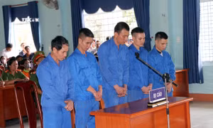 Phạt tù nhóm đối tượng phá rừng ở Đăk Hà, Kon Tum