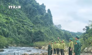 Hà Tĩnh ngăn chặn tình trạng xâm lấn rừng trái phép dịp Tết Nguyên đán