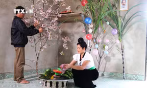 Mang Xuân ấm đến mọi người, mọi nhà
