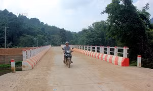 Sắc Xuân trên vùng ATK Yên Sơn