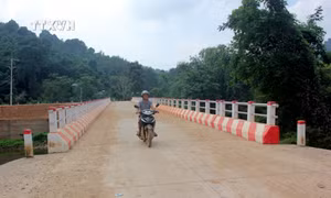 Sắc Xuân trên vùng ATK Yên Sơn