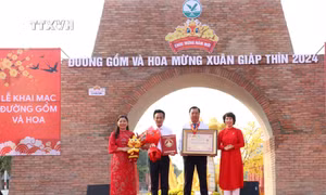 Xác lập kỷ lục "Đường gốm đỏ và hoa dài nhất Việt Nam”
