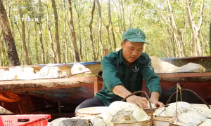 Quan tâm hỗ trợ lao động nhập cư là người dân tộc thiểu số ở Đồng Nai
