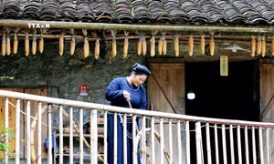 Đề xuất giải pháp phát triển xã hội vùng biên giới đất liền hiệu quả và bền vững