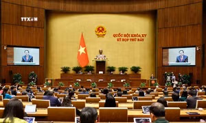 Nghị quyết Kỳ họp thứ 7, Quốc hội khóa XV