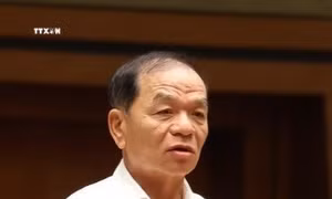 Đồng ý khởi tố, bắt tạm giam, tạm đình chỉ nhiệm vụ đại biểu Quốc hội Lê Thanh Vân