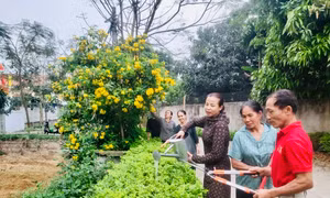 Sức sống mới ở vùng quê kiểu mẫu Lập Thạch
