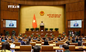Nghị quyết Kỳ họp thứ 7, Quốc hội khóa XV