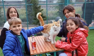 Trẻ em chơi cùng một chú mèo tại "Thị trấn mèo" ở tỉnh Kayseri, Thổ Nhĩ Kỳ ngày 21/7/2023. Ảnh: THX/TTXVN