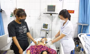 Dùng lá cây để chữa rắn cắn khiến bé 2 tuổi nguy kịch ở Tuyên Quang