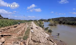 Đắk Nông đề nghị Bộ Tài nguyên và Môi trường chủ trì, đánh giá nguyên nhân sạt lở bờ sông Krông Nô