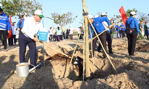 Ninh Thuận phát động Tết trồng cây đời đời nhớ ơn Bác Hồ Xuân Giáp Thìn