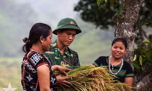 Bộ đội Biên phòng Quảng Nam giúp đồng bào vùng biên đẩy lùi nghèo khó