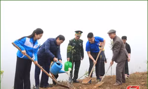 Tuổi trẻ Sơn La bùng cháy tinh thần tình nguyện, khát khao cống hiến