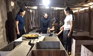 Bà Ma Thị Thanh, Trưởng ban công tác Mặt trận thôn Khau Tàm, xã Kiên Đài (người cầm con dúi) trao đổi kinh nghiệm chăn nuôi cho các hộ đến tham quan mô hình. Ảnh: Quang Cường
