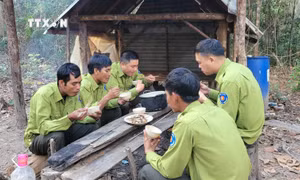 Tết của những người giữ rừng ở Tây Nguyên