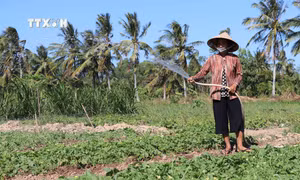 Toàn quốc còn 1.586.336 hộ nghèo và hộ cận nghèo đa chiều