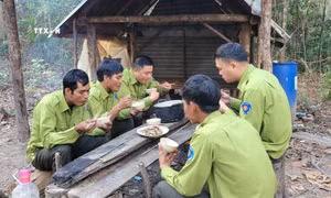 Tết của những người giữ rừng ở Tây Nguyên
