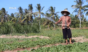 Toàn quốc còn 1.586.336 hộ nghèo và hộ cận nghèo đa chiều