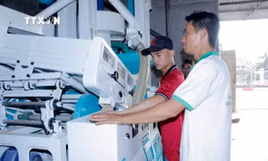 Gia tăng giá trị sản phẩm nhờ cơ giới hóa nông nghiệp ở Bà Rịa-Vũng Tàu
