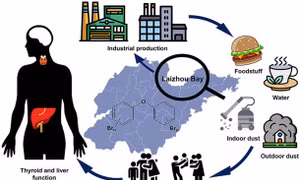 Nghiên cứu mới về tác hại của chất chống cháy
