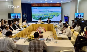 Gia Lai thu hút đầu tư chăn nuôi bò sữa
