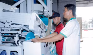Gia tăng giá trị sản phẩm nhờ cơ giới hóa nông nghiệp ở Bà Rịa-Vũng Tàu
