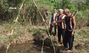 Hồi sinh Lễ cầu mưa của đồng bào Bahnar ở Gia Lai