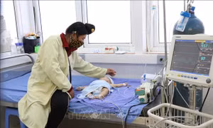 Bệnh nhi nhập viện sau khi tiêm vắc xin đang được điều trị tại khoa Nhi, Bệnh viện đa khoa tỉnh Sơn La. Ảnh: Hữu Quyết - TTXVN