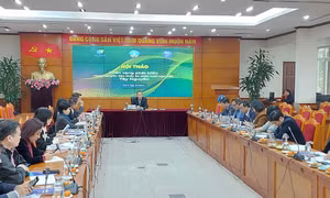 Hội thảo Triển vọng phát triển vùng nguyên liệu thức ăn chăn nuôi ở Tây Nguyên. Ảnh: bnews.vn