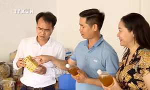 Bảo hộ quyền sở hữu trí tuệ cho các sản phẩm OCOP