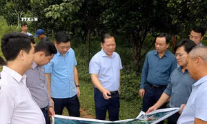 Đẩy nhanh tiến độ dự án Cao tốc Hòa Bình - Mộc Châu