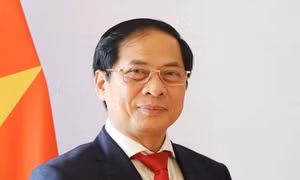 Tóm tắt tiểu sử Phó Thủ tướng Chính phủ Bùi Thanh Sơn