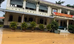 Lâm Đồng: Đồi đất có nguy cơ sạt lở, đe dọa an toàn của giáo viên, học sinh trường tiểu học