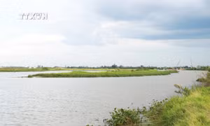 Cần sớm khơi thông dòng chảy, chống sạt lở bờ sông Vĩnh Định ở Quảng Trị