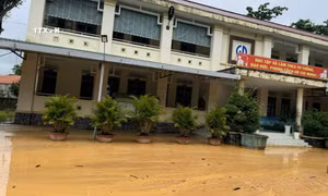 Lâm Đồng: Đồi đất có nguy cơ sạt lở, đe dọa an toàn của giáo viên, học sinh trường tiểu học