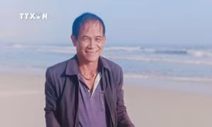 Cứu hộ và thả rùa xanh bị mắc lưới về biển ở Quảng Trị