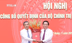 Ông Ngô Đông Hải giữ chức Phó Trưởng Ban Tuyên giáo Trung ương