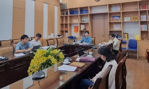 Bốn ca tử vong do cúm ở Bình Định, Bộ Y tế họp với các chuyên gia đầu ngành