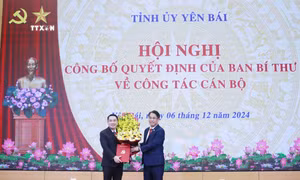Ông Nguyễn Tuấn Anh được chỉ định làm Phó Bí thư Tỉnh ủy Yên Bái