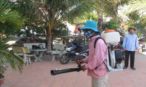Ninh Thuận tăng cường công tác phòng, chống bệnh sốt xuất huyết Dengue