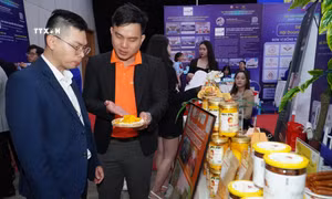 Xúc tiến thương mại, kết nối giao thương Nam Trung bộ - Tây Nguyên